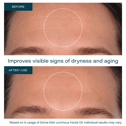 Divine Elixir Luminous Facial Oil - Evergreen Escape Holiday Collection