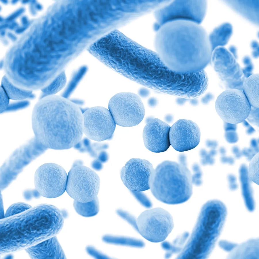Probiolift™